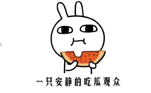 吃瓜到底是什么意思,网络热词背后的文化现象