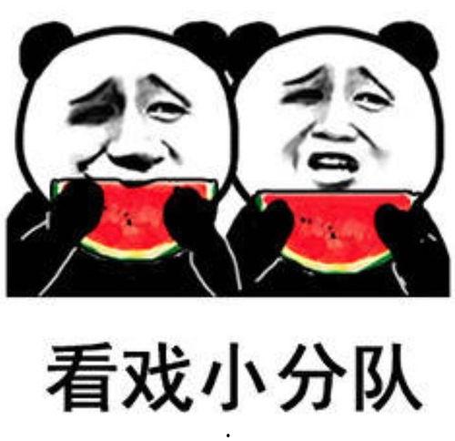 娱乐圈明星吃瓜表情包