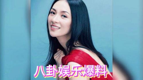 娱乐圈综艺吃瓜爆料小说,揭秘明星背后的秘密与真相