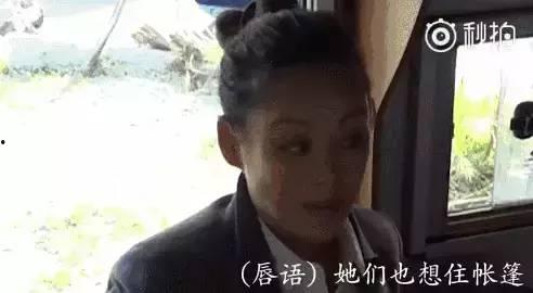 娱乐圈吃瓜基本是真的