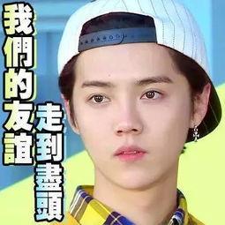 娱乐圈吃瓜基本是真的