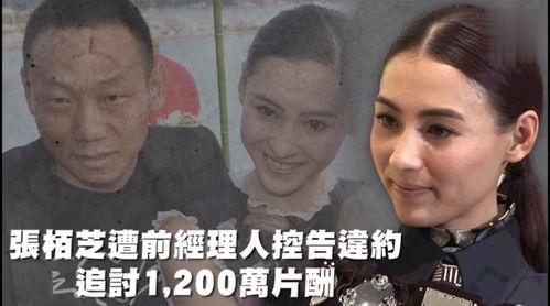 吃瓜娱乐精选在线观看