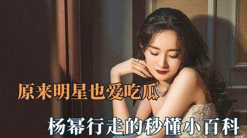 吃瓜娱乐杨幂视频下载免费,轻松获取热门片段