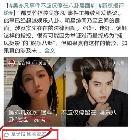 娱乐明星最新吃瓜事件,明星XX事件引发热议